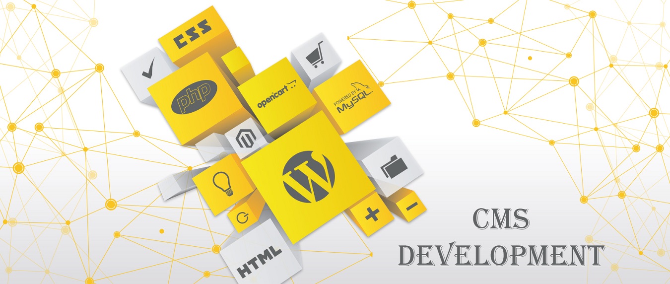 Website Developers & Designers